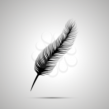 Long feather silhouette, simple black icon with shadow