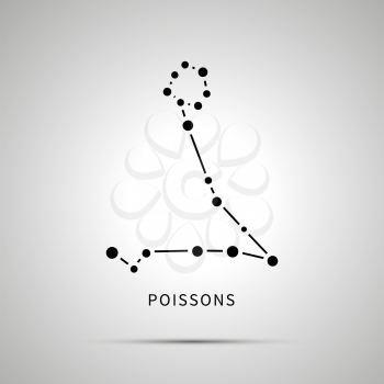 Poisson's constellation simple black icon with shadow