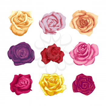 Set of beautiful bright colorful rosebuds on white