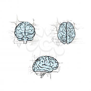 Set of technical human brains in different views, left brain functions concepts isolated on white