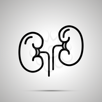 Simple black human kidneys icon with with shadow on gray