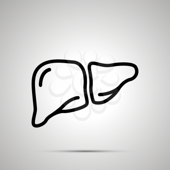 Simple black human liver icon with with shadow on gray