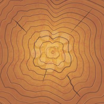 Bright brown tree rings, realistic square illustration