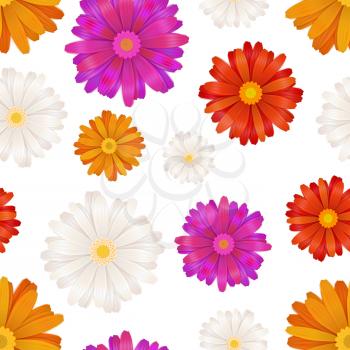 A lot of colourful gerbera flowers isolated on white, seamless pattern