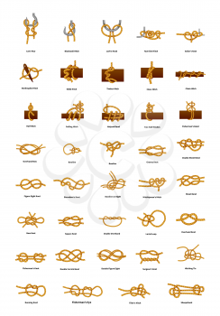 Big set of different sea knots isolated on white