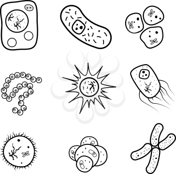 Set of biology cells, bacteria and virus black icons