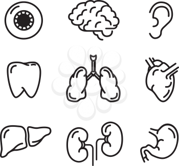 Set of black outline icons of humans organs isolated on white