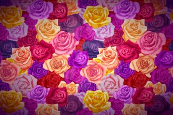 A lot of beautiful bright colorful rosebuds, wide detailed background