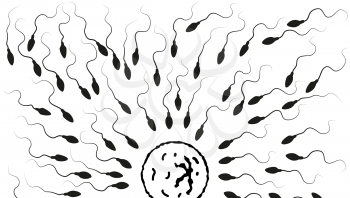A lot of black detailed spermatozoids runs towards the egg, live competition concept isolated on white