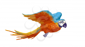 Bright colorful flying parrot, cartoon animal isolated on white