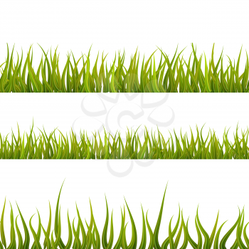 Bright detailed green grass, lush seamless borders isolated on white