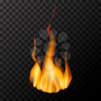 Bright fire flame on transparent background