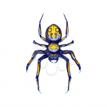 Danger exotic crawling spider, cartoon arachnid isolated on white