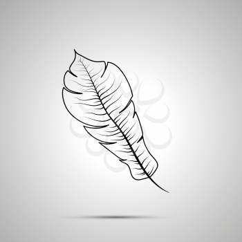 Exotic feather outline simple black icon with shadow