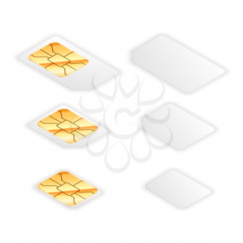 Set of blank standard, micro and nano sim cards for phone with golden glossy chip from both sides in isometric view isolated on white