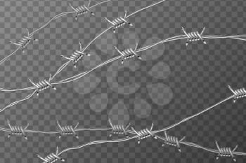 Several lines of glossy realistic barbed wire on transparent background