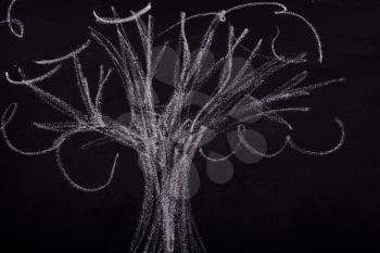 Hand drawing of tree with chalk on a blackboard