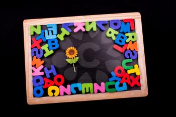 Fake flower and colorful Letters of Alphabet made of wood