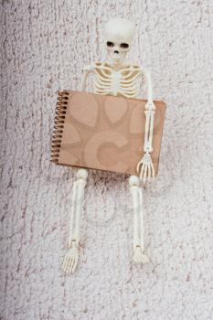 Human skeleton model  for medical anatomy science with notebook in hand