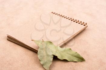 Spiral notebook and dry leaves on a brown background