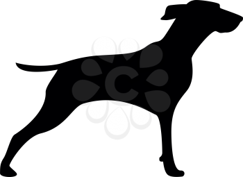 Hunter dog or gundog icon  icon black color vector illustration isolated