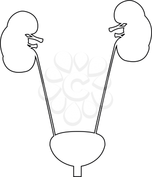Bladder and kidney the black color icon vector illustration