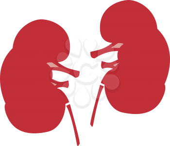 Kidney it is color icon . Simple style .