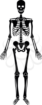 Human skeleton icon black color vector illustration flat style simple image