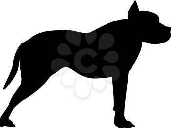 Pit bull terrier icon black color vector illustration flat style simple image