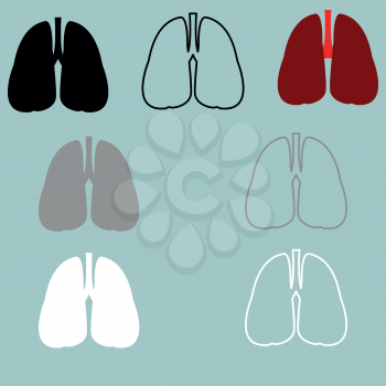 Lungs red black grey white icon set.