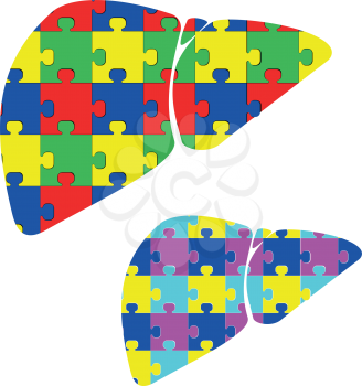 Liver with puzzle red blue green yellow set two items
