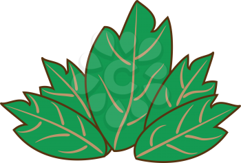 Leaves green color it is simple style