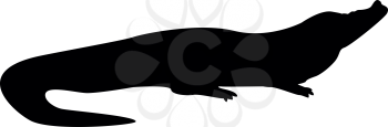 Crocodile black icon .