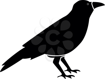 Crow black icon .