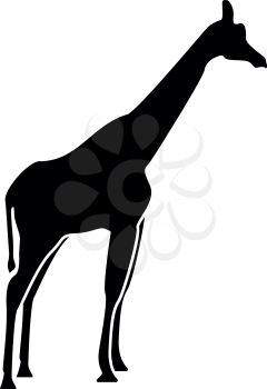 Giraffe black icon .
