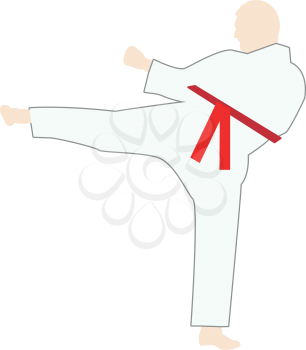 Karate man  set  it is color icon . Simple style .