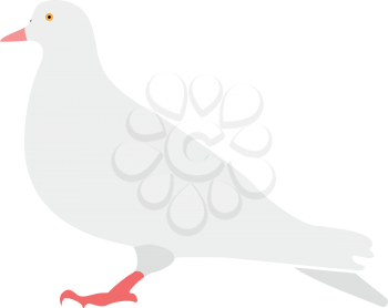 Dove icon . Different color . Simple style .