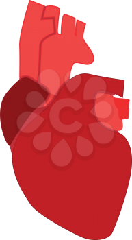 Human heart icon . Different color . Simple style .