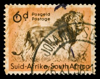 Vintage cancelled postage stamp with lion illustration. South Africa, Johannesburg, 1958.
