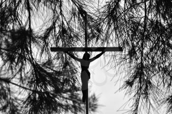 Jesus Christ on the cross silhouette with tree branches on the background.