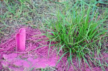 Vivid pink color paint splashed over green grass.