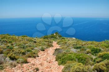 Footpath leading to the sea. Abstract holiday background.