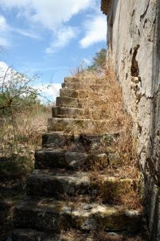 Grassed stone stairs of an abandoned house.
