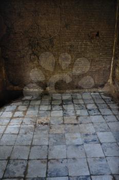 Dirty tiled floor and brick wall with vine roots in empty room. Abandoned interior.