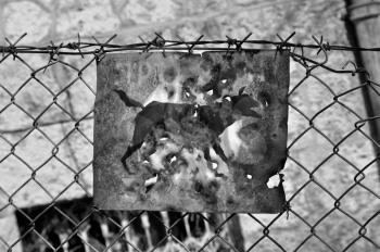 Beware of the dog rusty sign and barbed wire fence. Black and white.