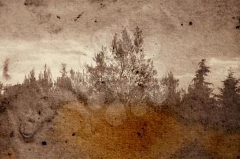 Vintage stained photograph of trees in forest. Abstract illustration.