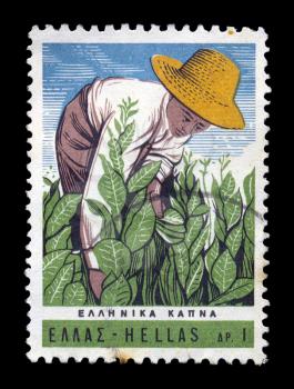GREECE - CIRCA 1966. Vintage postage stamp with farmer harvesting tobacco plants illustration, circa 1966.
