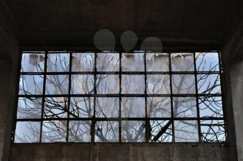 Tree branches behind broken window in abandoned factory interior. Concrete wall and ceiling.