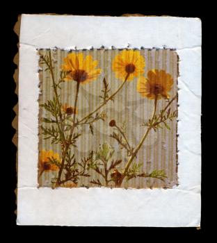 Wild spring flowers on cardboard paper frame grunge background.