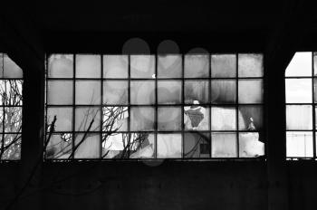Broken windows and concrete wall in abandoned factory. Black and white.